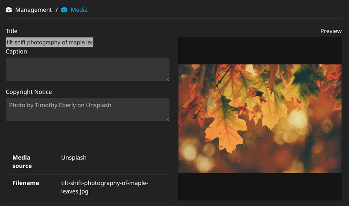MediaManagement_Screenshot.png